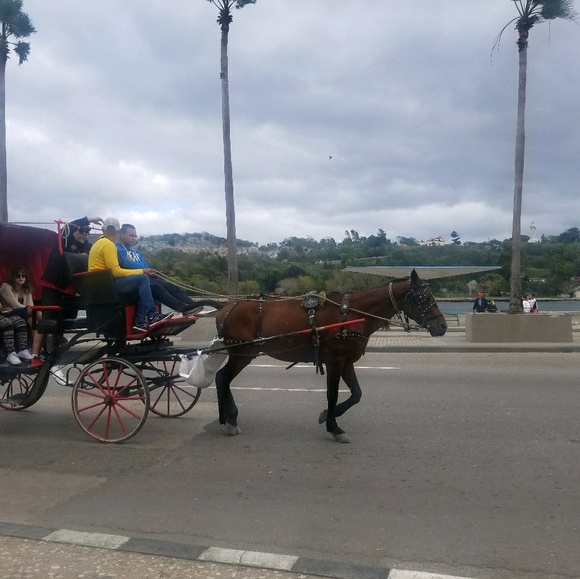 Meet your Posher, Donna - Picture 1 of 1